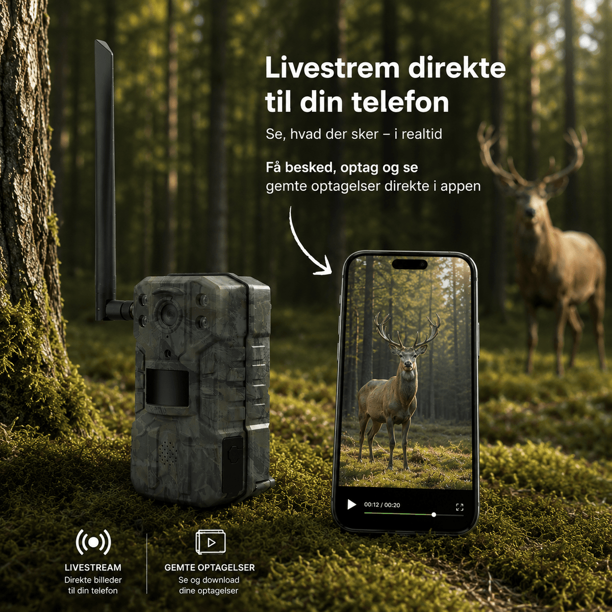 2K Vildtkamera med 4G LTE netværk, app og batteritid på op til 2 mdr