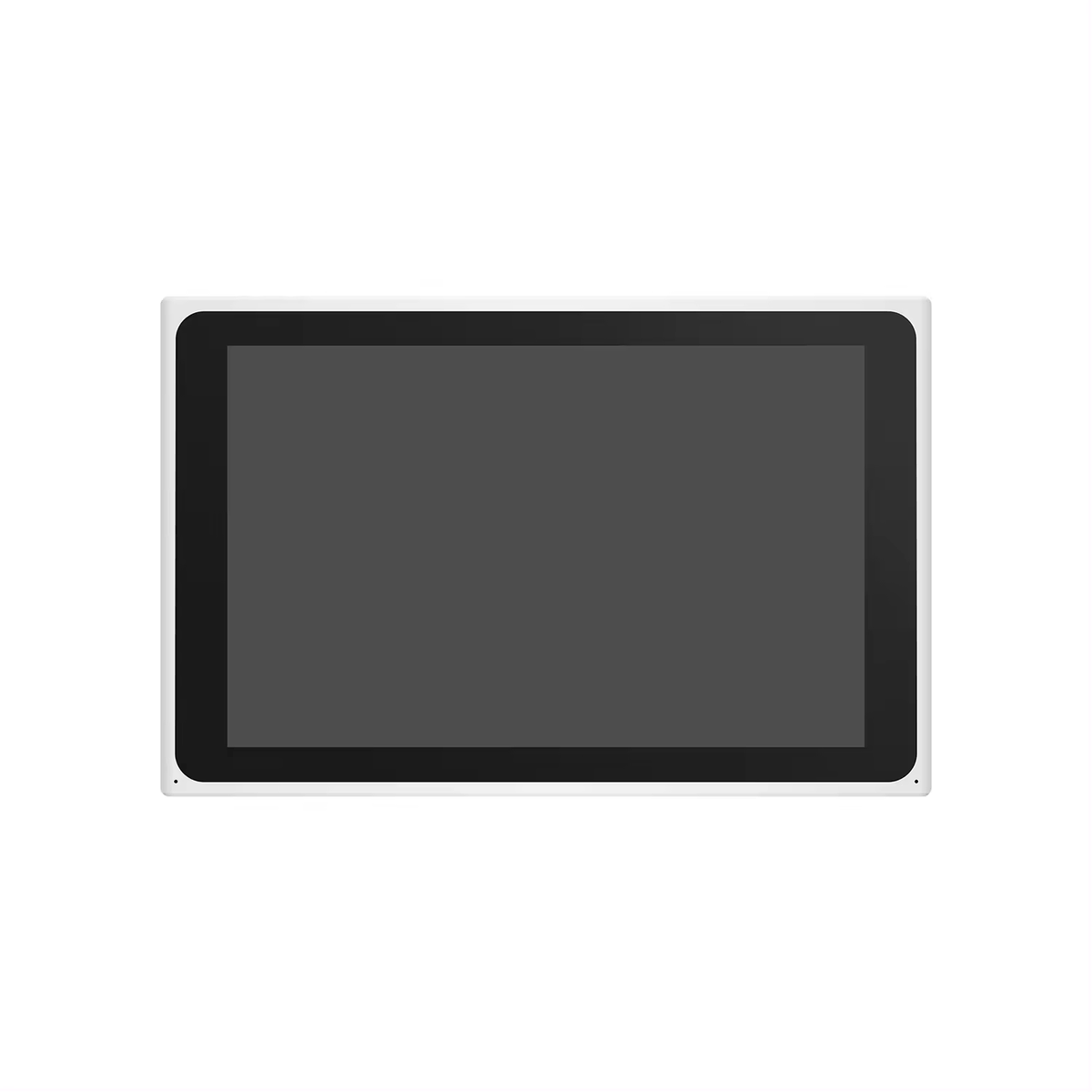 PTZ NVR Sæt med harddiskboks (1TB) 10,1" skærm og 4 stk. Fuld HD 1080p kameraer